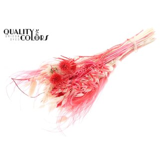 QC Round Dried Flower Bouquet “Ruby” | Colour: Red | Size: Medium | Length ± 60 centimetres | Per 5 bouquets