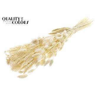 QC Plat Boeket Droogbloemen “Frost” | Kleur: Wit | Grootte: Large | Lengte ± 70 centimeter | Per 5 boeketten