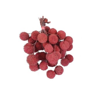 QC Small Ball on Stick | Colour: Frosted Pink | Small Ball Pick | 10 picks per bunch | Per 5 bunches