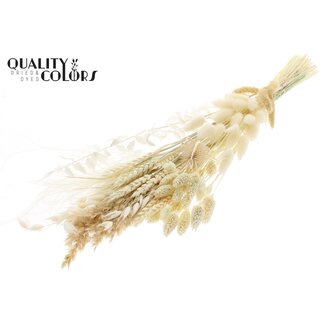 QC Plat Boeket Droogbloemen “Frost” | Kleur: Wit | Grootte: Small | Lengte ± 50 centimeter | Per 8 boeketten