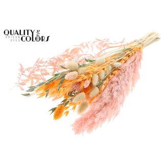 QC Flat Bouquet Dried Flowers “Blush” | Colour: Apricot | Size: Small | Length ± 50 centimetres | Per 8 bouquets