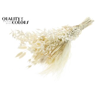 QC Round Bouquet of Dried Flowers “Frost” | Colour: White | Size: Medium | Length ± 60 centimetres | Per 5 bouquets