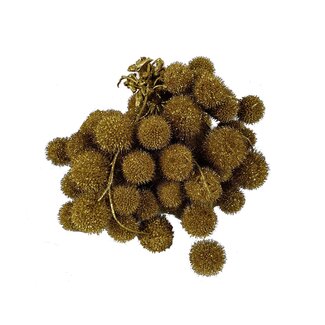 QC Small Ball on Stick | Colour: Gold with Glitter | Small Ball Pick | 10 picks per bunch | Per 5 bunches