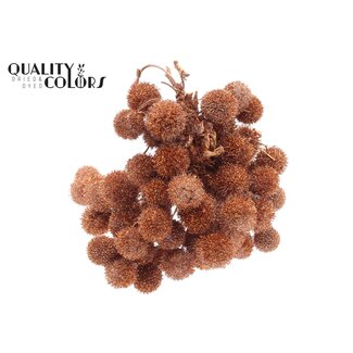QC Small Ball on Stick | Colour: Copper with Glitter | Small Ball Pick | 10 picks per bunch | Per 5 bunches