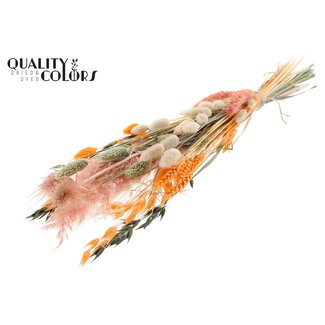 QC Flat Bouquet Dried Flowers “Blush” | Colour: Apricot | Size: Medium | Length ± 60 centimetres | Per 5 bouquets