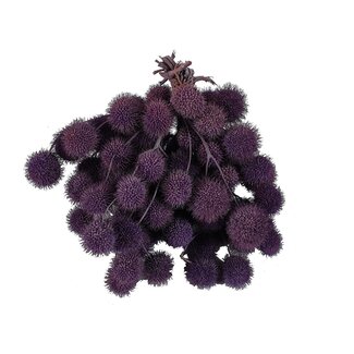 QC Small Ball on Stick | Colour: Frosted Milka Purple | Small Ball Stick | 10 sticks per bunch | Per 5 bunches