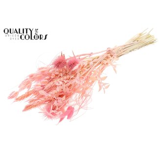 QC Round Bouquet of Dried Flowers “Blossom” | Colour: Pink | Size: Small | Length ± 50 centimetres | Per 8 bouquets