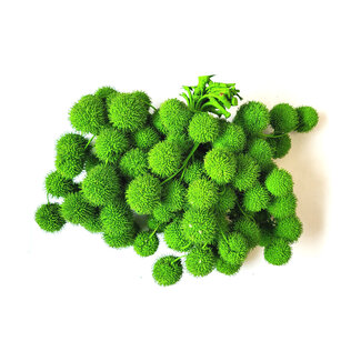 QC Small Ball on Stick | Colour: Green | Small Ball Stick | 10 sticks per bunch | Per 5 bunches