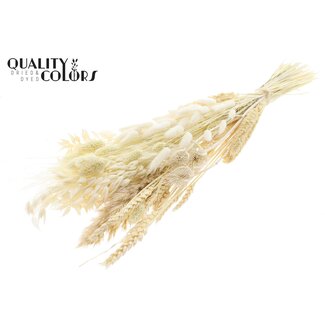 QC Flat Bouquet Dried Flowers “Frost” | Colour: White | Size: Medium | Length ± 60 centimetres | Per 5 bouquets