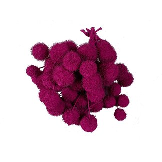 QC Small Ball on Stick | Colour: Cherry | Small Ball Stick | 10 sticks per bunch | Per 5 bunches