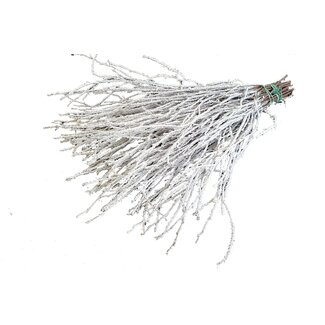 QC Dried Birch Branches | Colour: Natural White with Snow | Length ± 70 centimetres | 10 branches per bunch