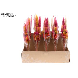 QC Gelaagd Boeket Droogbloemen “Kleurrijk 10” | Kleur: Gemengde Kleuren | Lengte ± 50 centimeter | Per 5 boeketten