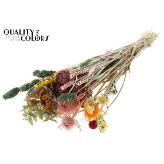 QC Round Bouquet of Dried Flowers “Floral” | Colour: Natural Mixed Colours | Size: Medium | Length ± 60 centimetres | Per 5 bouquets