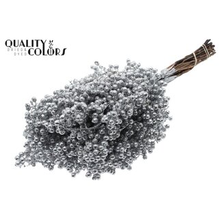 QC Dried Pepper Berries Sticks | Colour: Silver with Glitter | Schinus Dried Decoration | Weight ± 170 grams | Per 5 bunches