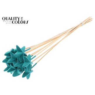 QC Styro Star flat type on stem Turquoise