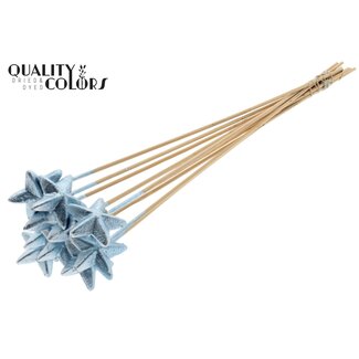 QC Styrofoam Ster op stok | Kleur: Metallic Blauw | Styro Ster platte Bijsteker | Lengte ± 50 centimeter | Per 50 bijstekers