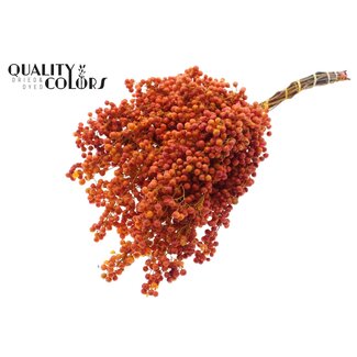 QC Gedroogde Peperbessen Bijstekers | Kleur: Terracotta | Schinus Droogdecoratie | Gewicht ± 170 gram | Per 5 bossen