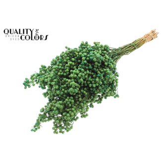 QC Gedroogde Peperbessen Bijstekers | Kleur: Mintgroen | Schinus Droogdecoratie | Gewicht ± 170 gram | Per 5 bossen