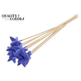 QC Styrofoam Star on a stick | Colour: Milka purple | Styro Star flat Pick | Length ± 50 centimetres | Per 50 picks