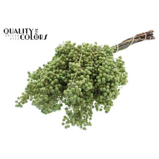 QC Dried Pepper Berries Picks | Colour: Light Green | Schinus Dried Decoration | Weight ± 170 grams | Per 5 bunches