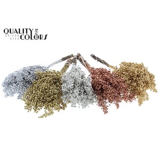 QC Gedroogde Peperbessen Bijstekers | Kleur: Metallic Gemengde Kleuren | Schinus Droogdecoratie | Gewicht ± 170 gram | Per 5 bossen