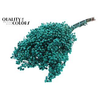 QC Gedroogde Peperbessen Bijstekers | Kleur: Turquoise | Schinus Droogdecoratie | Gewicht ± 170 gram | Per 5 bossen