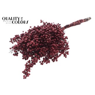 QC Gedroogde Peperbessen Bijstekers | Kleur: Bordeauxrood | Schinus Droogdecoratie | Gewicht ± 170 gram | Per 5 bossen