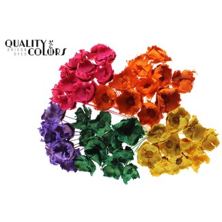 QC Gedroogde Palm Cup op steel | Kleur: Gemengde Intense Kleuren | Lengte ± 50 centimeter | Per 50 stelen