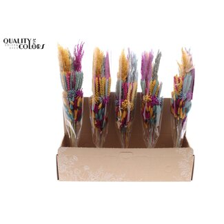 QC Layered Bouquet of Dried Flowers “Apricot Dreams” | Colour: Mixed Colours | Length ± 50 centimetres | Per 5 bouquets