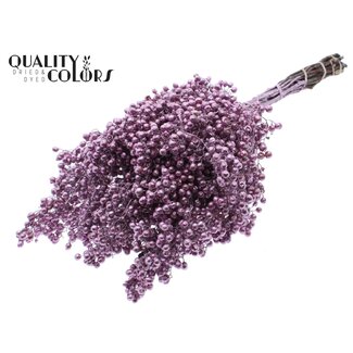 QC Dried Pepper Berries Picks | Colour: Metallic Pink | Schinus Dried Decoration | Weight ± 170 grams | Per 5 bunches