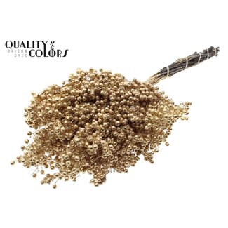 QC Gedroogde Peperbessen Bijstekers | Kleur: Antiek Goudkleurig met Glitter | Schinus Droogdecoratie | Gewicht ± 170 gram | Per 5 bossen