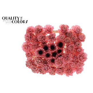 QC Shola Wooden Flower Mix on Stick | Colour: Light Pink | Shola Flower Mix Stick | Stick Length ± 50 centimetres | Per 50 sticks