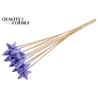 QC Styrofoam Star on a stick | Colour: Metallic Purple | Styro Star flat Insert Stick | Length ± 50 centimetres | Per 50 insert sticks