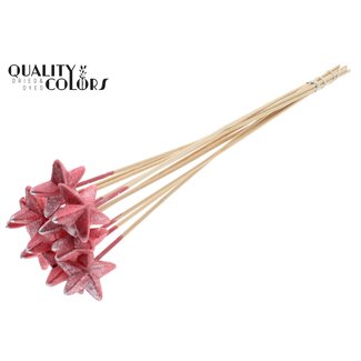 QC Styrofoam Star on stick | Colour: Metallic Red | Styro Star flat Pick | Length ± 50 centimetres | Per 50 picks