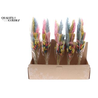 QC Gelaagd Boeket Droogbloemen “Pastel Prism” | Kleur: Gemengde Kleuren | Lengte ± 50 centimeter | Per 5 boeketten