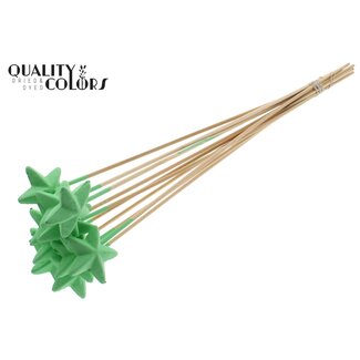 QC Styrofoam Ster op stok | Kleur: Mintgroen | Styro Ster platte Bijsteker | Lengte ± 50 centimeter | Per 50 bijstekers