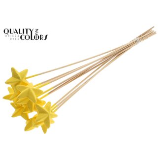 QC Styrofoam Star on a stick | Colour: Yellow | Styro Star flat Insert | Length ± 50 centimetres | Per 50 inserts