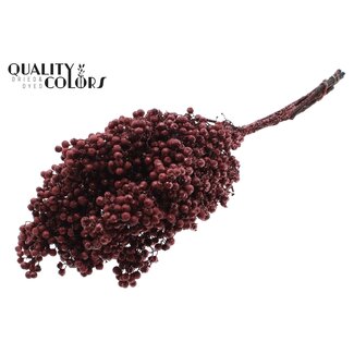 QC Dried Pepper Berries Picks | Colour: Bordeaux Red with Glitter | Schinus Dried Decoration | Weight ± 170 grams | Per 5 bunches