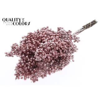 QC Gedroogde Peperbessen Bijstekers | Kleur: Champagnekleurig met Glitter | Schinus Droogdecoratie | Gewicht ± 170 gram | Per 5 bossen