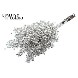 QC Dried Pepper Berries Picks | Colour: Platinum | Schinus Dried Decoration | Weight ± 170 grams | Per 5 bunches