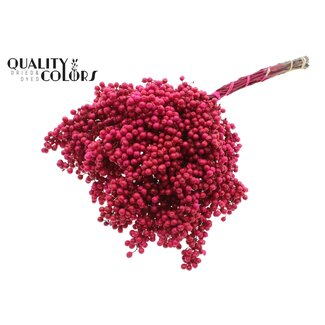 QC Gedroogde Peperbessen Bijstekers | Kleur: Kerskleurig | Schinus Droogdecoratie | Gewicht ± 170 gram | Per 5 bossen
