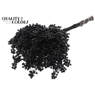 QC Gedroogde Peperbessen Bijstekers | Kleur: Zwart | Schinus Droogdecoratie | Gewicht ± 170 gram | Per 5 bossen