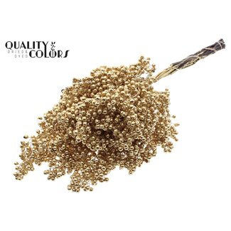 QC Gedroogde Peperbessen Bijstekers | Kleur: Antiek Goudkleurig | Schinus Droogdecoratie | Gewicht ± 170 gram | Per 5 bossen