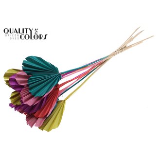 QC Gedroogd Palmblad in hartvorm op steel | Kleur: Gemengde Kleuren | Palm Spear Heart Bijsteker | Lengte ± 45 centimeter | Per 50 stelen