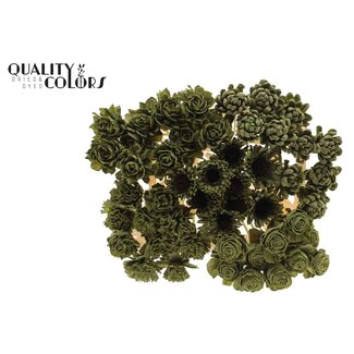 QC Shola Houten Bloemenmix op stok | Kleur: Olijfgroen | Shola Flower Mix Bijsteker| Lengte bijsteker ± 50 centimeter | Per 50 bijstekers