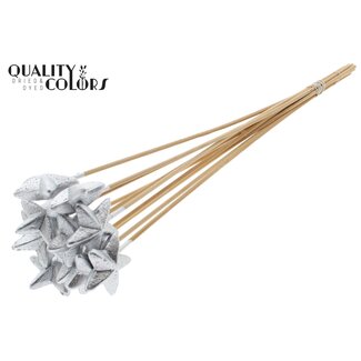 QC Styrofoam Star on a stick | Colour: Silver | Styro Star flat Pick | Length ± 50 centimetres | Per 50 picks