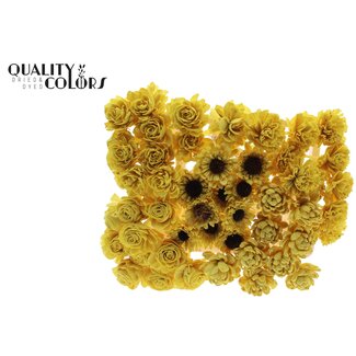QC Shola Houten Bloemenmix op stok | Kleur: Geel | Shola Flower Mix Bijsteker| Lengte bijsteker ± 50 centimeter | Per 50 bijstekers