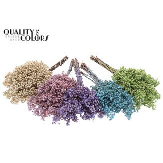 QC Dried Pepper Berries Picks | Colour: Frosted Mixed Colours | Schinus Dried Decoration | Weight ± 170 grams | Per 5 bunches