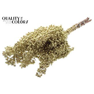 QC Dried Pepper Berries Picks | Colour: Gold with Glitter | Schinus Dried Decoration | Weight ± 170 grams | Per 5 bunches