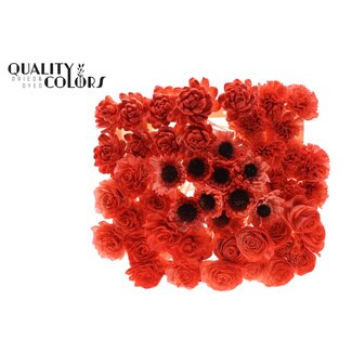 QC Shola Houten Bloemenmix op stok | Kleur: Koraalkleurig | Shola Flower Mix Bijsteker| Lengte bijsteker ± 50 centimeter | Per 50 bijstekers